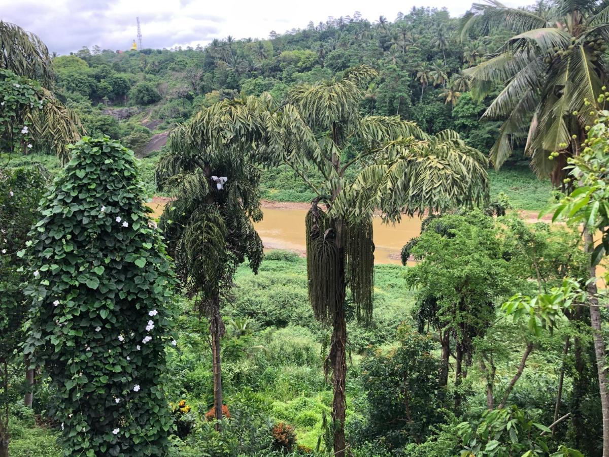 Kandy Rivers Edge Nature Resort Екстериор снимка