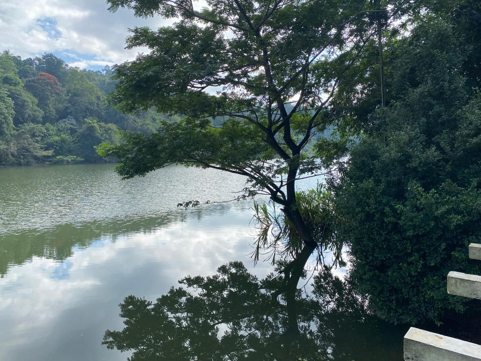 Kandy Rivers Edge Nature Resort Екстериор снимка